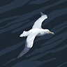Bit Bool