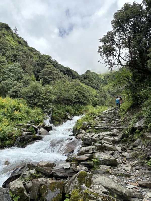 Dhorpatan &  Buki: Best Trek for Monsoon