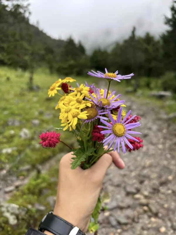 Dhorpatan &  Buki: Best Trek for Monsoon