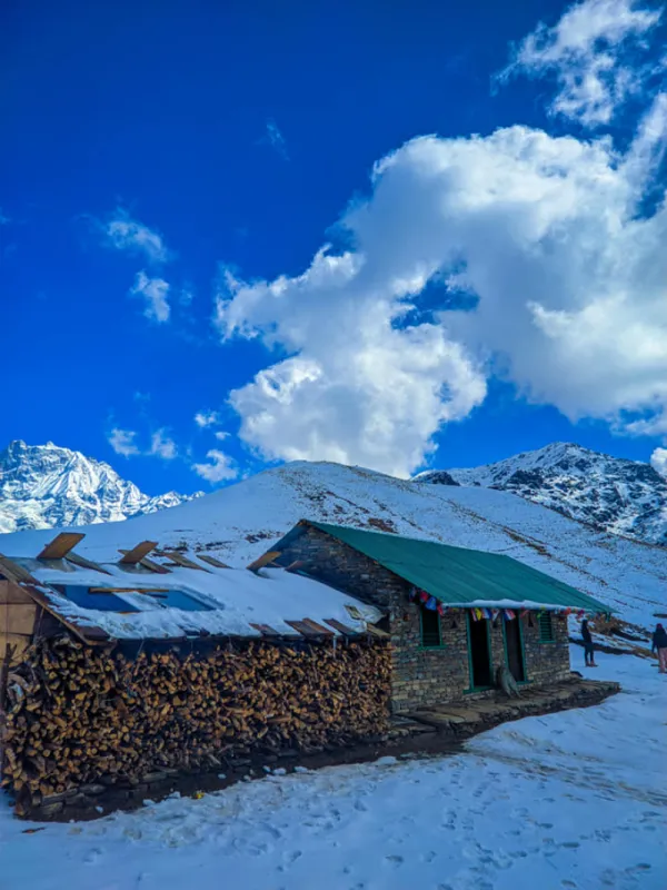 Kapuche & Kori: Best Short Trek