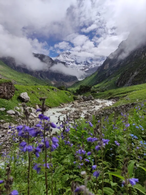 Saipal Base Camp - Bajhang