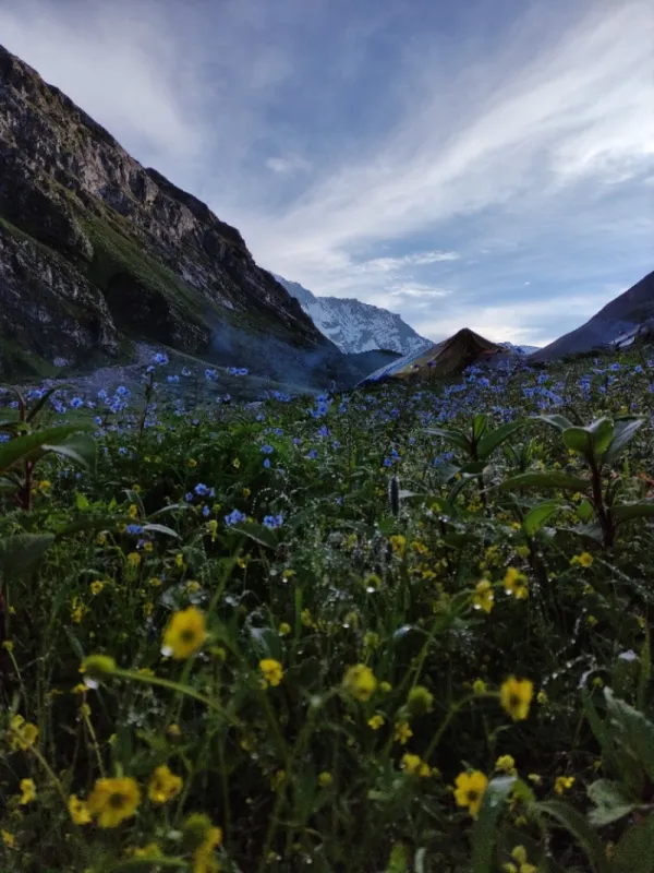 Saipal Base Camp - Bajhang