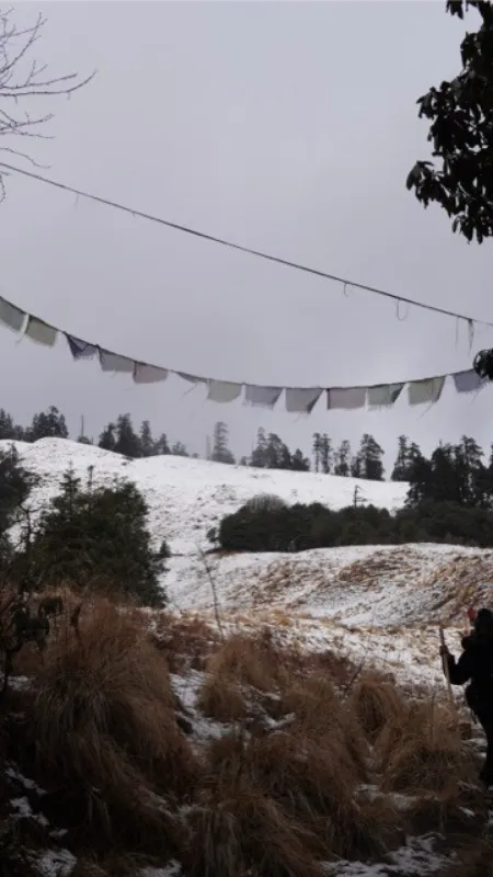 kokhe danda-simple snow trek from pokhara