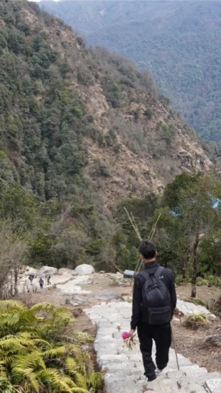 kokhe danda-simple snow trek from pokhara