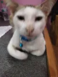 Rajani Manandhar jsjsksjbwsksiksnksosjwkoejsjidjd