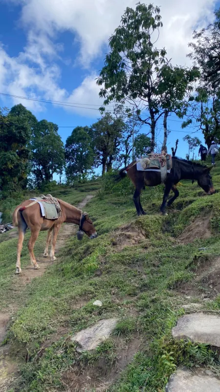 Bikes, Hikes, and Hills