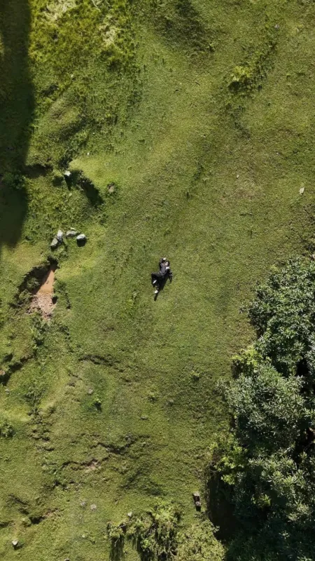 Bikes, Hikes, and Hills