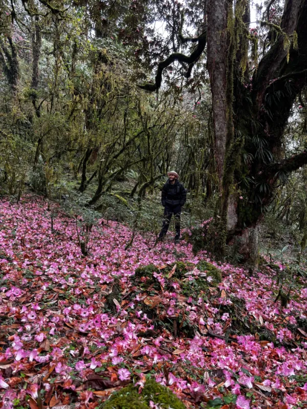 Best Spring Trek in Nepal: Muldi