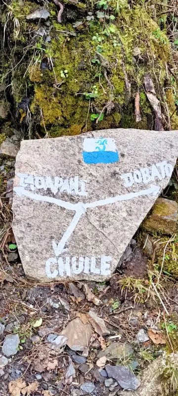 Mulde Diaries