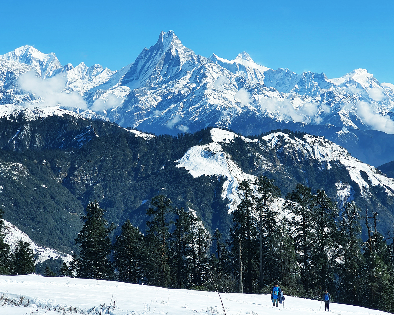 Kokhe Danda , Mohare Danda ,Poon Hill , Ghore Pani