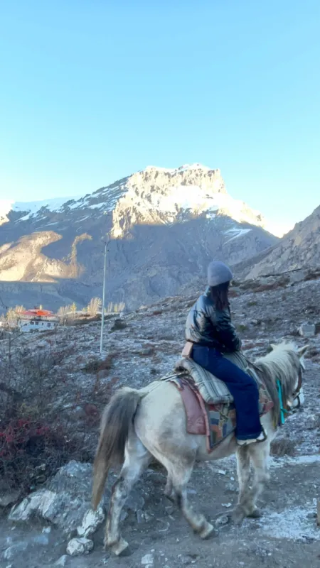 Mountain view